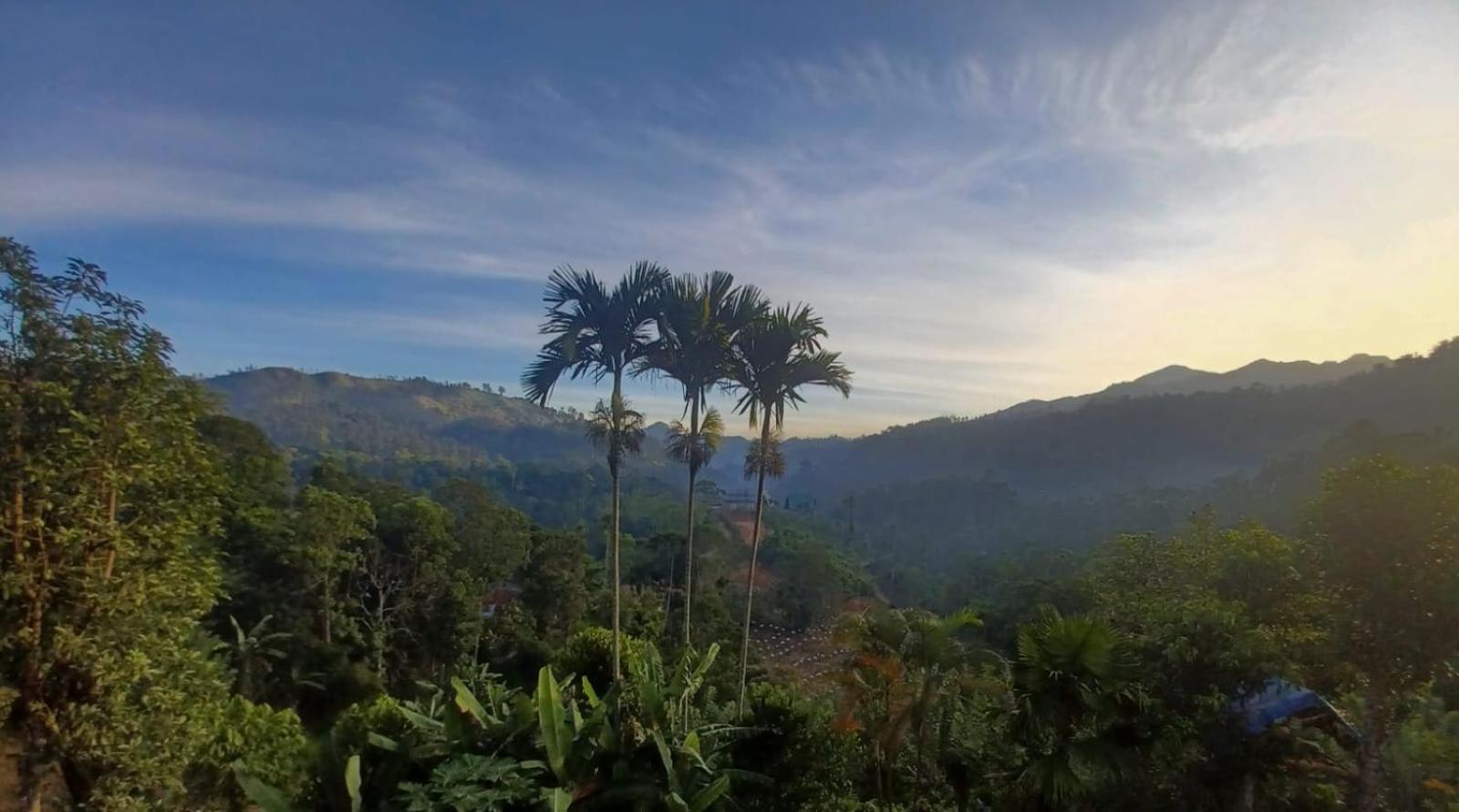 Ella Panorama Villa 外观 照片